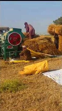 wheat Threshers machine working complete video | Modern Agricultural Machine Harvesting Wheat Fields