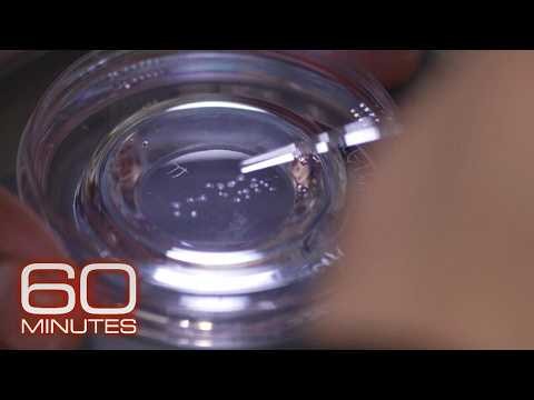 The ins and outs of egg freezing | 60 Minutes Archive