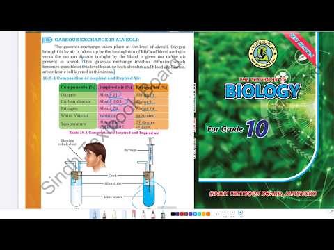Gaseous Exchange in Alveoli | Ventilator | Composition of Inhaled and Exhaled Air