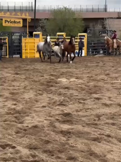 Showcase at the ProRodeo Hall of Fame! 🤠 Huge thanks to @tractorsupplyfor coming out and supporting the fun, and to Cervi Rodeo for supplying the stock! #WeArePRORODEO