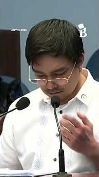 FINDINGS SHOW VP SARA COMMITTED GRAVE THREATS — NBI EXEC