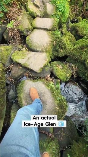 Free Things To Do in Ireland: Altamont Gardens, Co. Carlow #irelandtravel