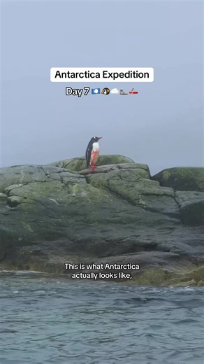 Antarctica Day 7 🐧😭🦭 | expedition antarctica