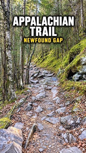 Walking the Appalachian Trail from Newfound Gap 🥾🍂