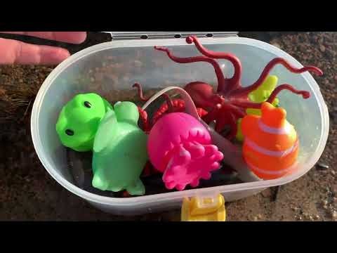 River Tub Sea Animal Fun Facts! Clownfish Colors, Octopus Hearts, Thresher Tail & More 🦈🐙🌊