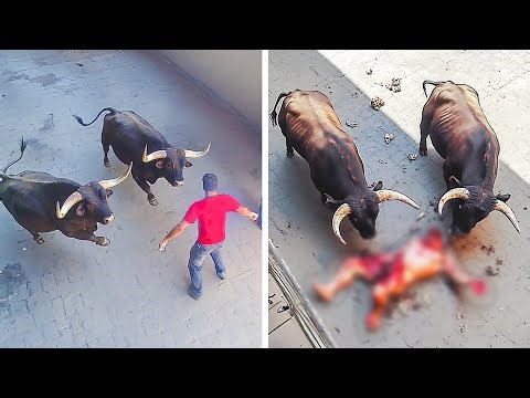 The Most HORRIFYING Pet Attacks On Their Owners!