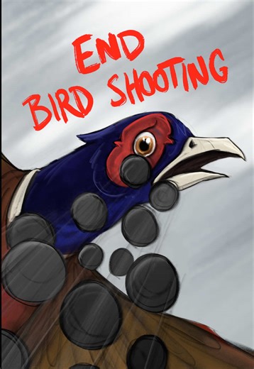 End Bird Shooting in Britain by 2026