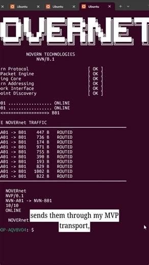 I BUILT MY OWN NETWORK 💀🌐 | NOVERnet v0.1