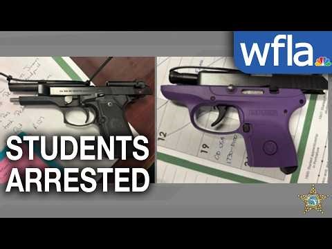 4 students arrested after firearms found at Hillsborough County school