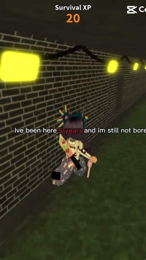 I've been on roblox for 5 years