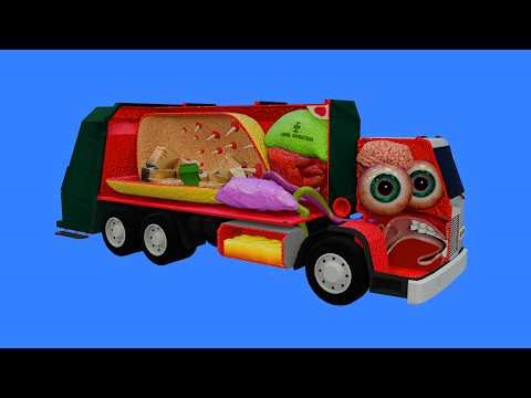 How a Garbage Truck works