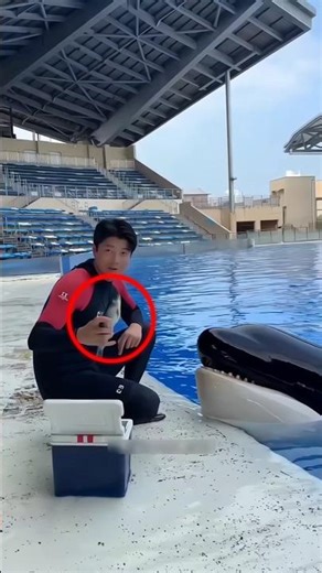 Why wasn't the whale eating fish? 🥲#shorts