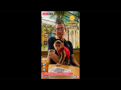Grandpa & Baby Monkey | Relaxing Noon Live 🐵☀️