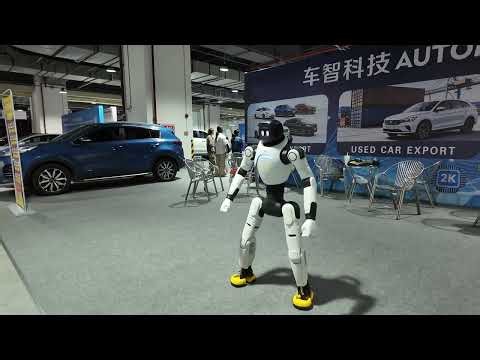 Humanoid Robot Shows Off Its Dance Moves at Expo