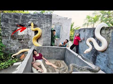 Terrifying! 3 Brave Hunters Rescue Girl Attacked by Giant White Python in Abandoned House