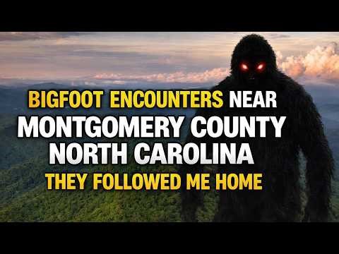 BIGFOOT ENCOUNTERS IN MONTGOMERY COUNTY NORTH CAROLINA | I THINK IT FOLLOWED ME HOME