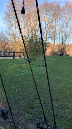 Rigs are ready to catch some big 🐟 #rigs #howtobasic #rods #fishingtiktok #carpfishing #fishtok #hooks #fishingtips #foryourpage #fishing #fishingrig | Aikira Gilmore
