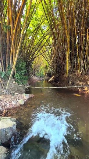 Belize Is Hiding Places This Beautiful?!