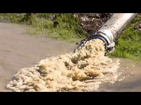 Local 4 News at 6 p.m. -- May 10, 2026