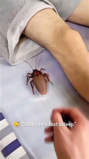 Fake RC Cockroach Prank on a Sleeping Guy! 😂🪳