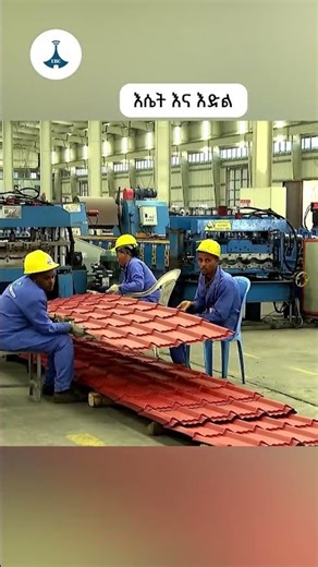 እሴት እና ዕድል | ETV | EBC | EBCDOTSTREAM