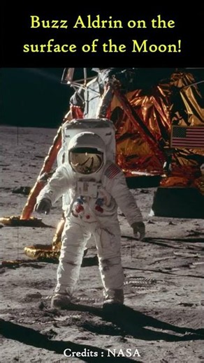 Buzz Aldrin on the Moon in 1969 🌕🚀 Neil Armstrong’s Reflection Revealed! Did You Know? #space #nasa