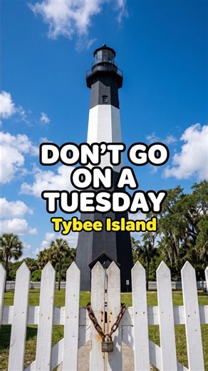 Don't Go to Tybee Island on a Tuesday ❌ #shorts