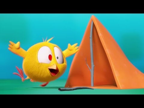 Chicky goes camping | Where's Chicky? | Cartoon Collection in English for Kids | New episodes