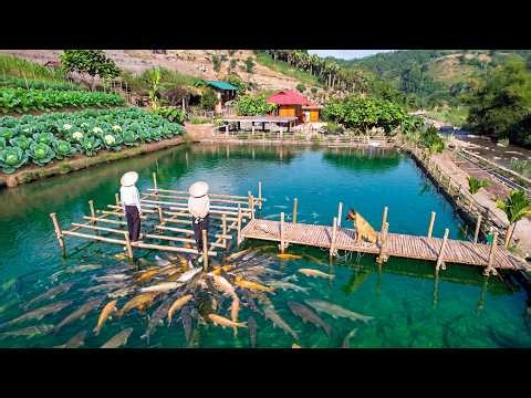 What Lies Beneath Deep Water? I Built a Floating Off-Grid Home!