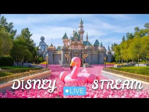 🔴 Disneyland Live Stream 🦩Tips = Hide Flamingos