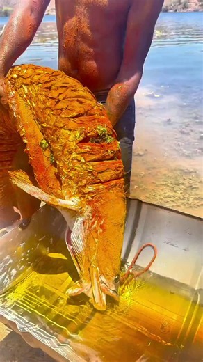 🚨INCROYABLE Ils sont en train de frire un poisson géant entier!Le pirarucu (Arapaima gigas) est l'un des plus grands poissons d'eau douce, pouvant atteindre 3 mètres (9 pieds) de long et peser plus de 200 kilogrammes.