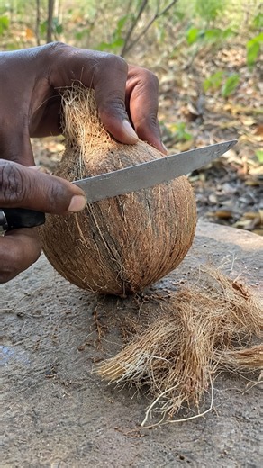 Never Throw Away Coconut Shells in the Wild! 🥥🔥 #survival #camping
