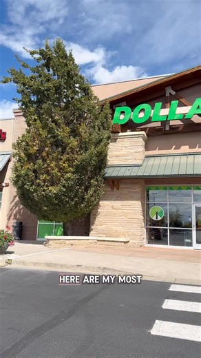 Emma Villaneda on Instagram: "Quick and Easy Dollar Tree CLEANING HACKS for the New Year! 🥳2026🥳 Which idea/product was your favorite?! 🫧 🧼 SHOPPING LIST: 🛒 Dollar Tree Rubber Mats 🛒 Dollar Tree Organza Bags 🛒 Dollar Tree Scent Beads 🛒 Dollar Tree Baby Oil 🛒 Dollar Tree Broom Stick 🛒 Dollar Tree Scouring Pads 🛒 Dollar Tree Sponge Handle w/squeegee 🛒 Dollar Tree Microfiber Handle 🛒 Dollar Tree Shower Caddy #diy #organization #clean #cleaning #dollartree"