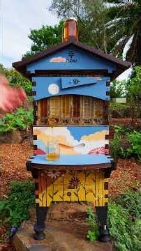 Reminder: Special 2-hour Live Beekeeping Q&A with Cedar and Stu 🐝