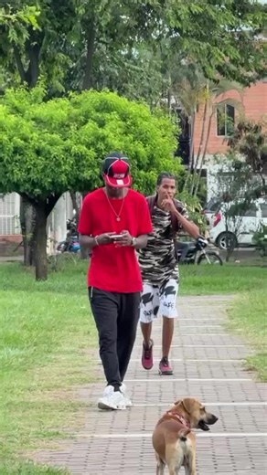 Explore Smart Bot Innovations in Tech Magic