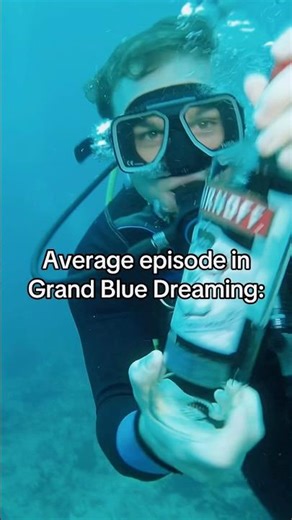 Grand Blue Dreaming Season 3 be like… #anime #scubadiving #grandbluedreaming