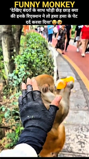 😂🤣😆Funny Monkey Pranks & Their Hilarious Reactions! 🐒😂 | AI Generated Video