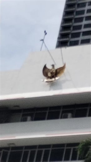 Exploring the Symbolism of Garuda in Indonesian Culture