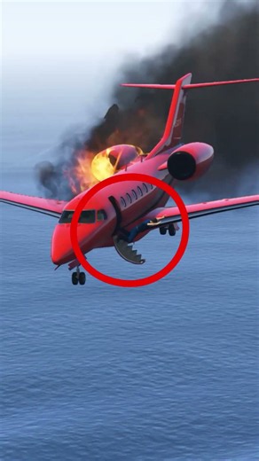 Plane Went Out of Control Pilot Took a Shocking Decision