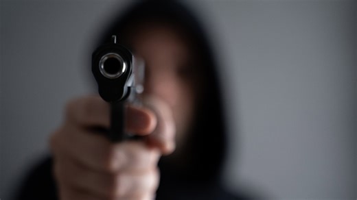 Gun laws need to be 'vigilantly maintained' to meet Australia's modern standards of regulation
