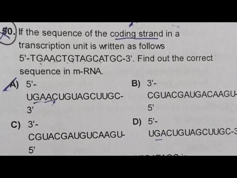 Coding Strand NEET Question Solution | Molecular basis of inheritance | +2 NCERT