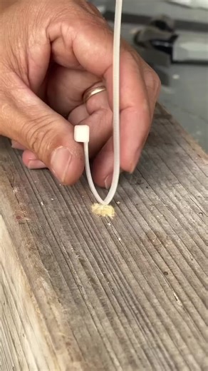 Exploring British and French Celebrity Culture