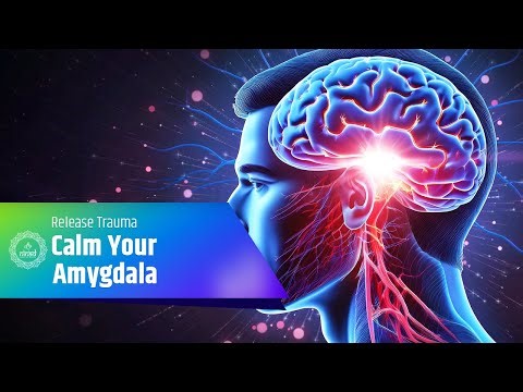 Calm Your Amygdala - Release Trauma, Dissolve Fear and Relieve Stress - 528 Hz