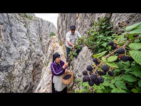 Elderly Couple Harvesting Blackberries on a Dangerous Mountain Path