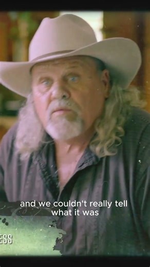 Travis Walton: Zapped by Aliens? The 5-Day Mystery #rabbitholeremains #alien #unearthedsecrets