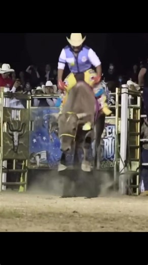 Exploring the Excitement of Jaripeo Events