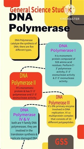 General Science Studies |Molecular biology |DNA Polymerase | DNA Replication | Biology |Shorts Gk