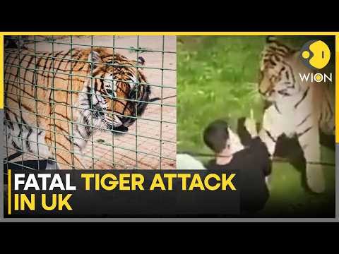 Fatal Tiger Attack in UK: What Happened at Yorkshire Wildlife Park | WION News