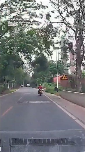 Motorcyclist struck by falling tree branch