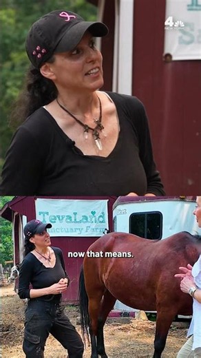 A win for New York animal sanctuary in need of financial rescue